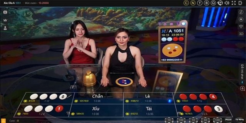 Các loại cược chính trong game xóc đĩa 7Club